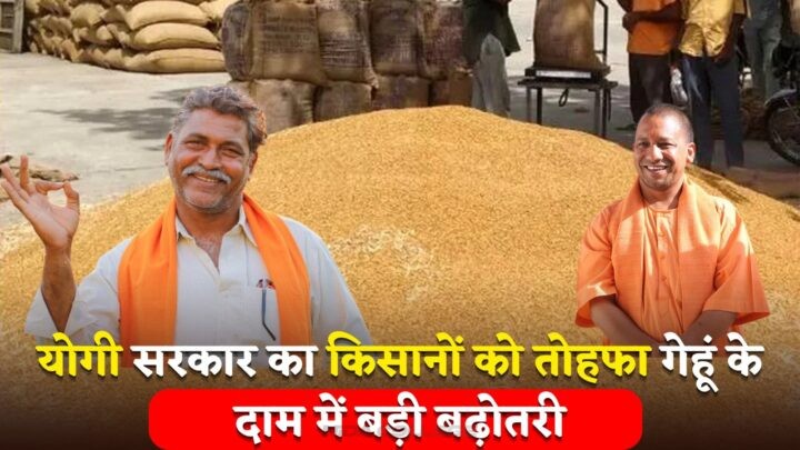 UP Kisan News