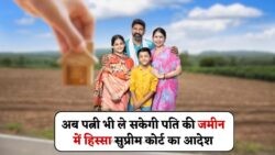 2025 का ऐतिहासिक कानून: अब बिना रोक-टोक के पति की जमीन बेच सकेंगी पत्नियाँ!