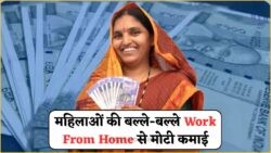 सरकार की नई स्कीम: अब महिलाओं को घर बैठे मिलेगा ₹500 प्रतिदिन का काम!