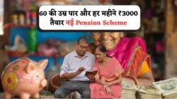 बिना झंझट पेंशन योजना: सीनियर सिटीजन्स के खाते में हर महीने ₹3,000 सीधे, कोई आवेदन नहीं!